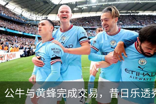 公牛与黄蜂完成交易，昔日乐透秀能否在新球队重新崛起？